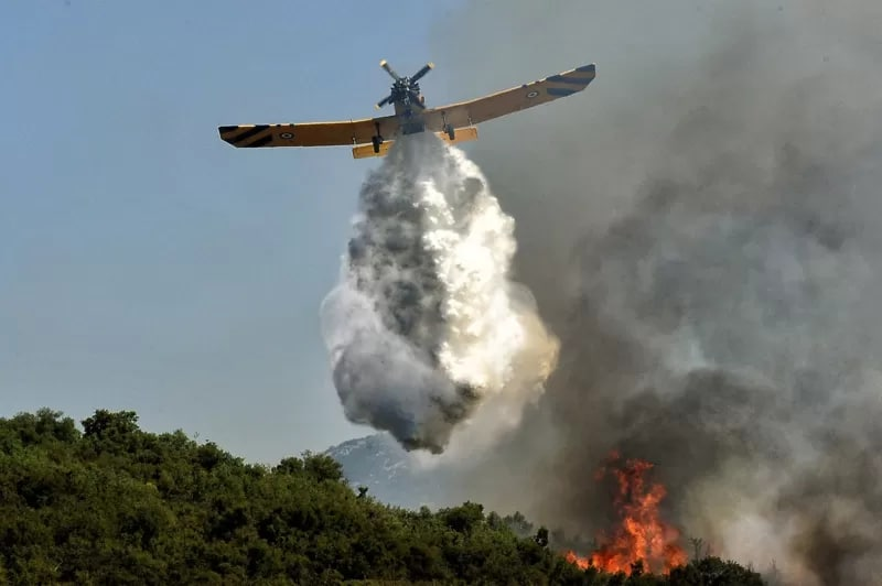 Европу из-за аномальной жары охватили лесные пожары, есть погибшие (фото)
