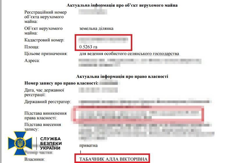 СБУ арестовала имущество экс-министра образования Украины Табачника