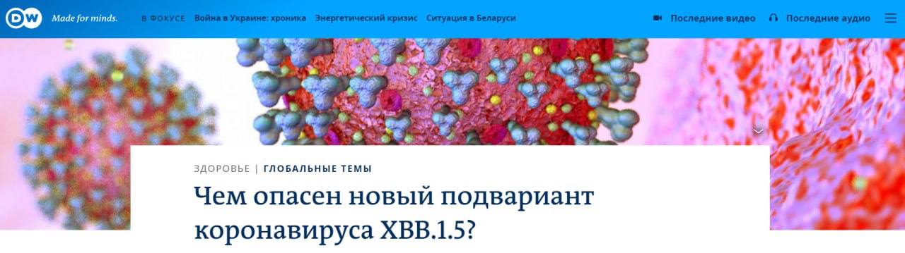 В мире очень быстрыми темпами распространяется новый подвариант коронавируса, известный как XBB.1.5