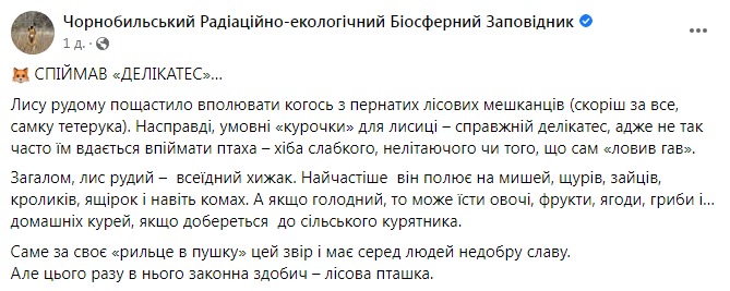 Скриншот из Фейсбука