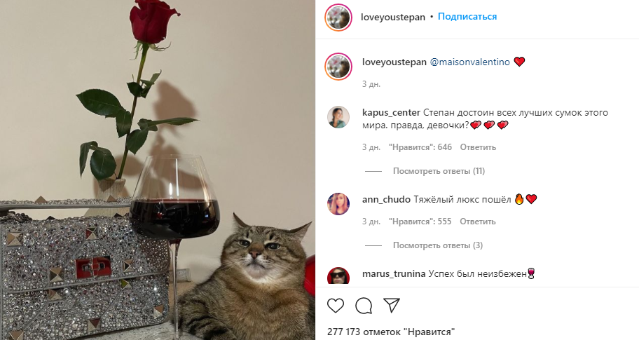 Кот степан из харькова фото