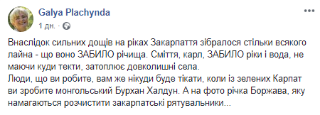 В реках Закарпатье - мусорные заторы. Скриншот Фейсбука Галины Плачинда