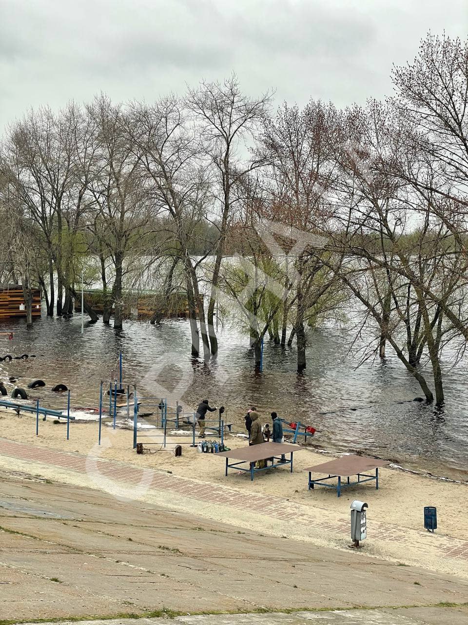 Вода на пляже в Киеве, фото 2