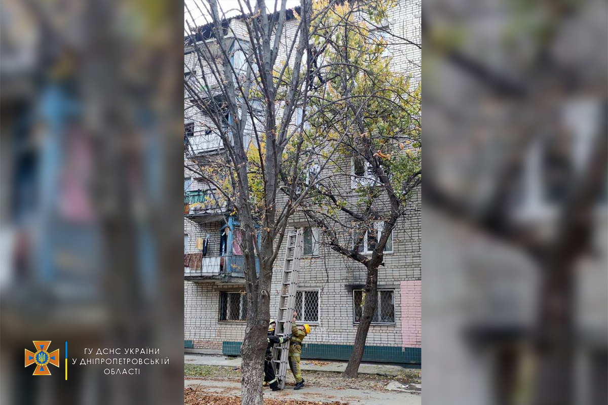 В Никополе беременная женщина залезла на дерево и не смогла самостоятельно спуститься. Фото: dsns.gov.ua