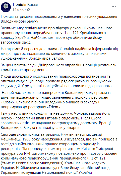 "Возник конфликт". В полиции сообщили детали дела об избиении Балуха в Гидропарке