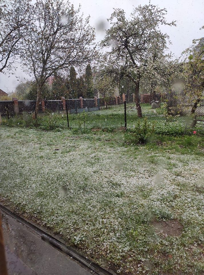 Во Львове 6 мая выпал снег. Фото: Facebook/ Наталка Диденко