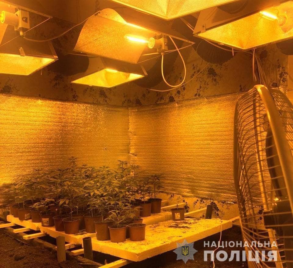 В Киевской области полиция поймала мужчину, который у себя дома выращивал коноплю. Фото: facebook.com/pol.kyivregion