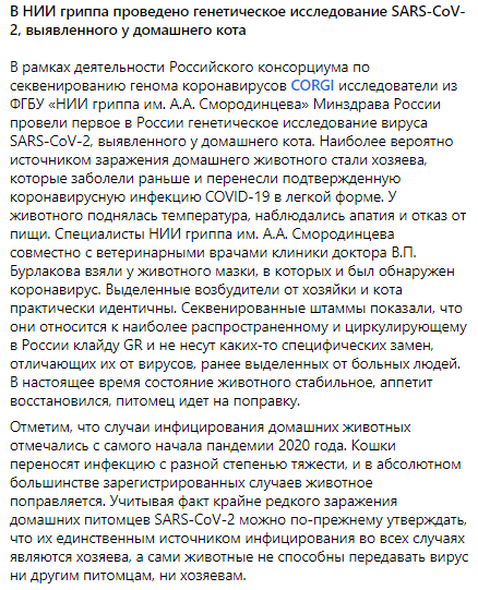 кот, скорее всего, заразился от хозяев, а найденный у него штамм вируса идентичен циркулирующим в России