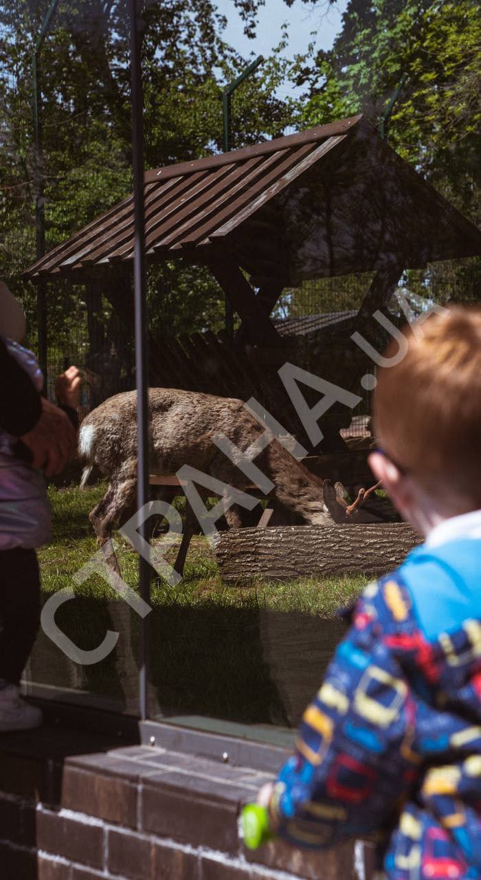 В Харькове снова открылся зоопарк