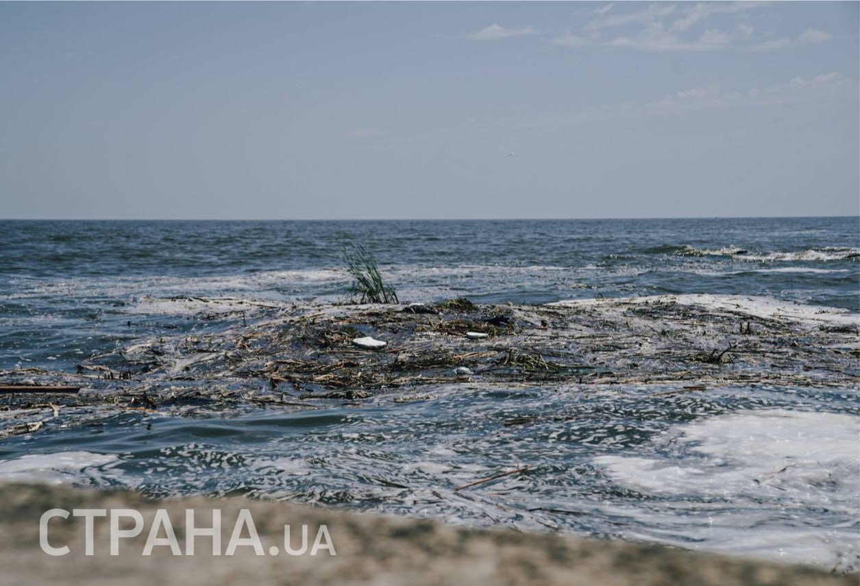 Мусор в море в Одессе