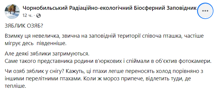 Чернобыльский заповедник показал зяблика в снегу